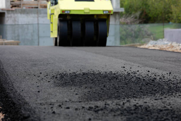 Best Interlocking Driveway Pavers  in Binghamton University, NY
