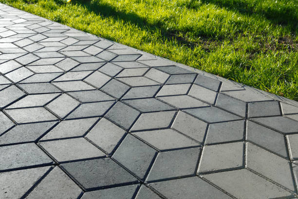 Best Driveway Paving Contractor  in Binghamton University, NY